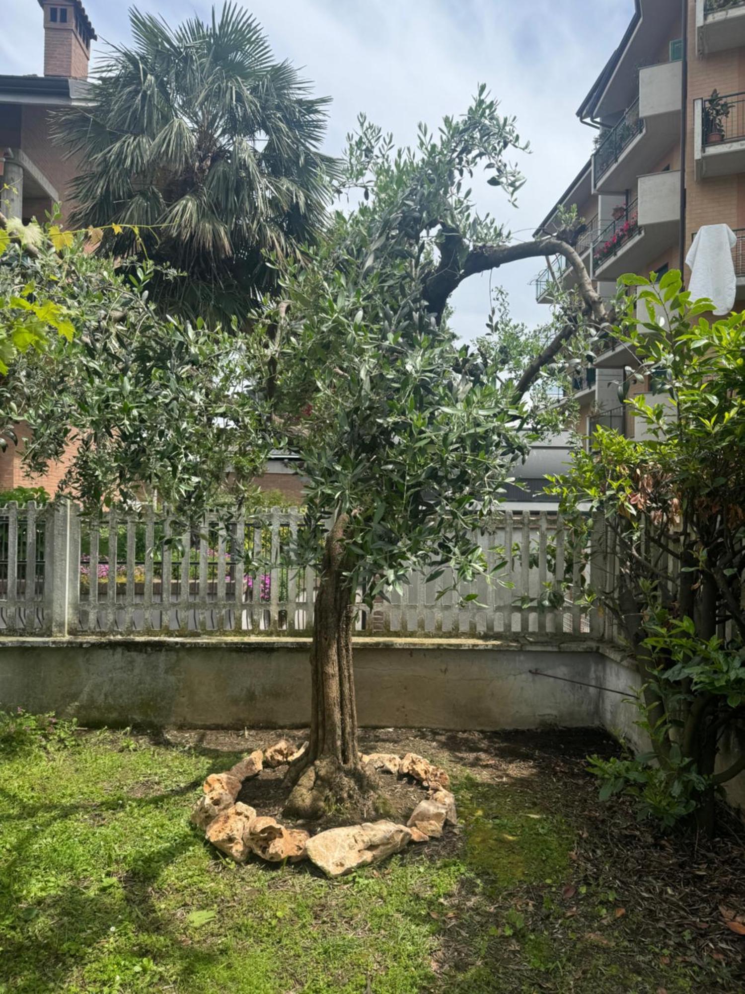 L'Ulivo Appartement Ciriè Buitenkant foto